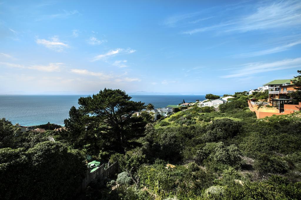 Penguinden - Load-Shedding Free Hotel Simon's Town Exterior photo